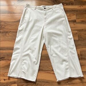 ANA High-Rise Wide Leg Crop Pants Size 18 Off-White Tan Trim NWT